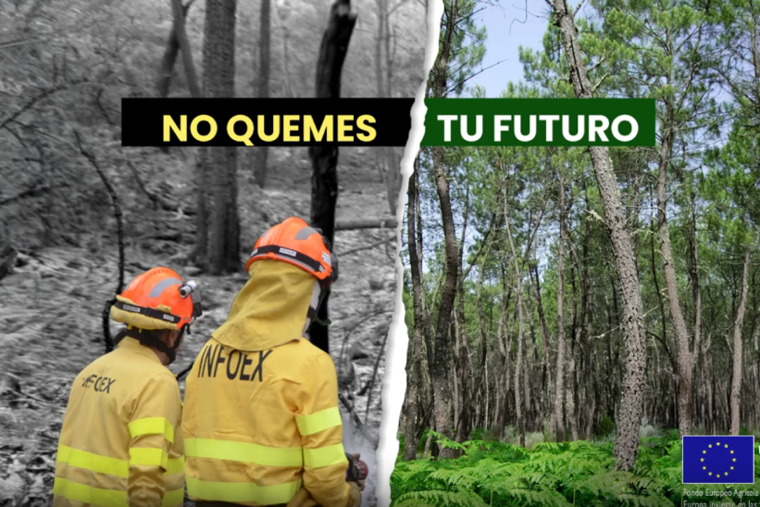no quemes tu futuro