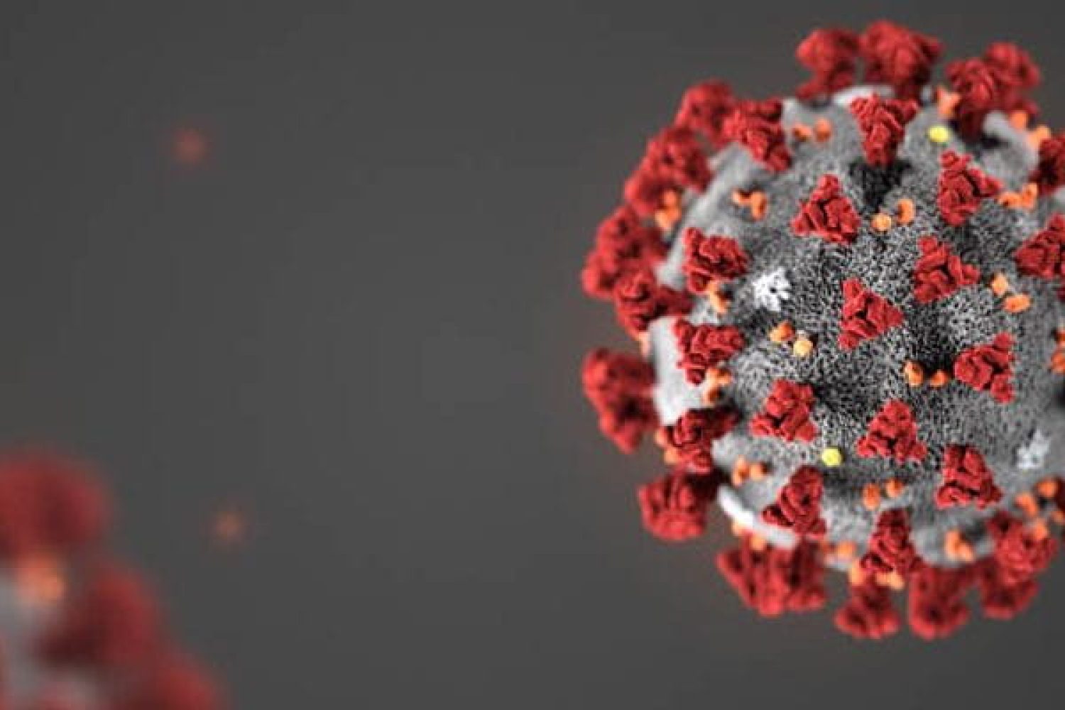 novel-coronavirus-940-400-825x400