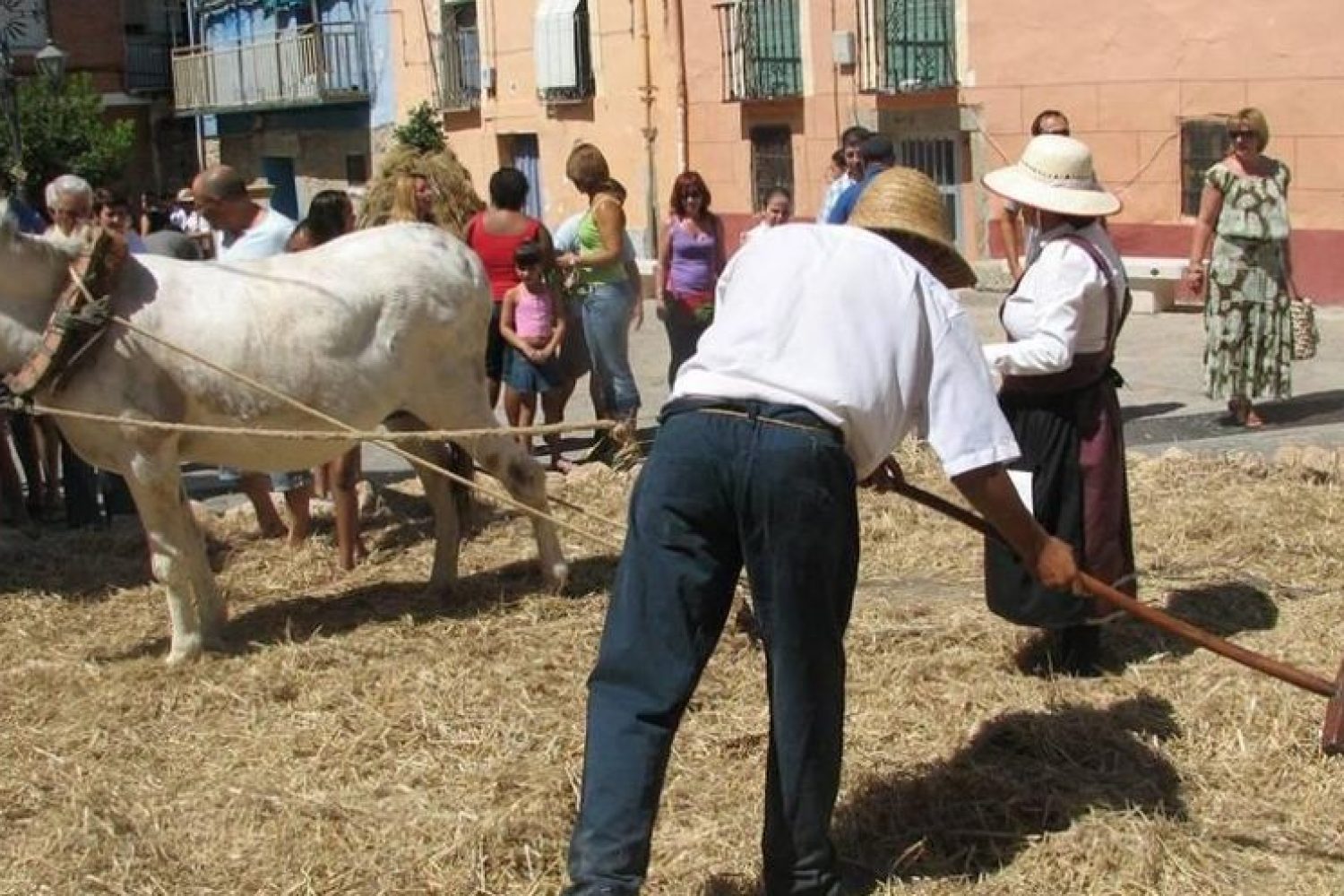 oficio