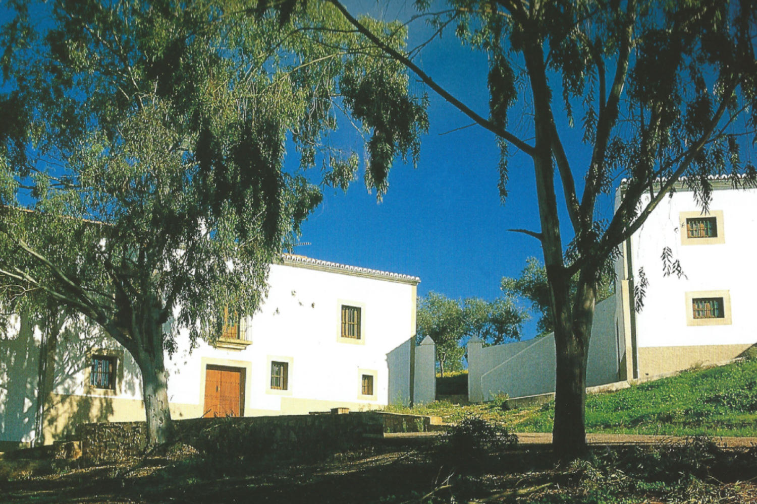 Olivar Chico de los Frailes
