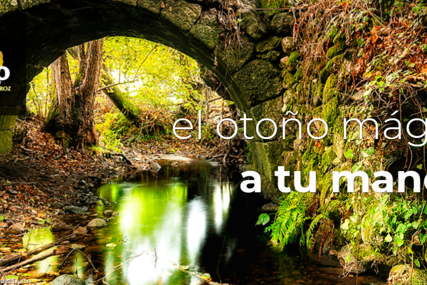 otoño magico