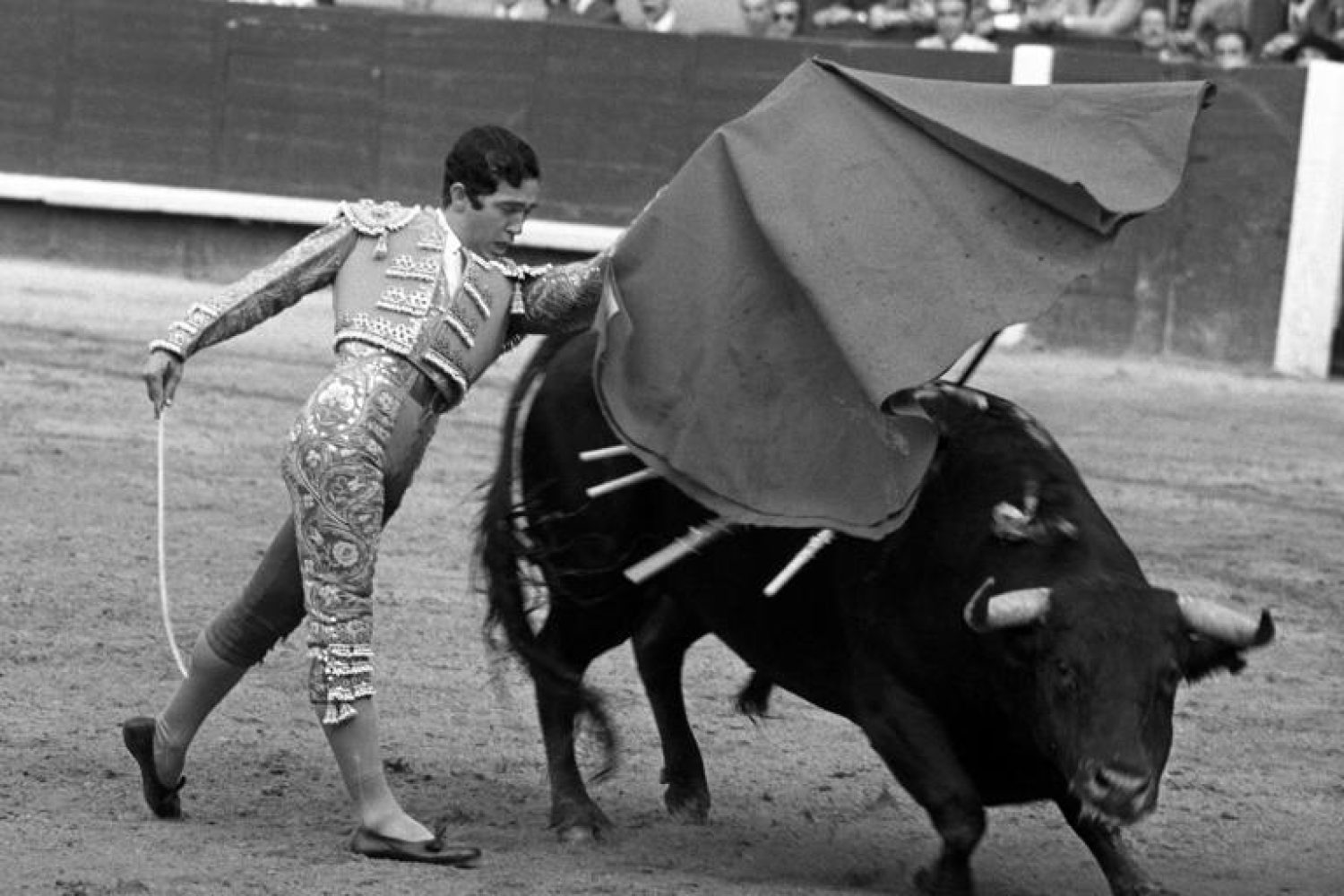 Paco Camino. DEP.