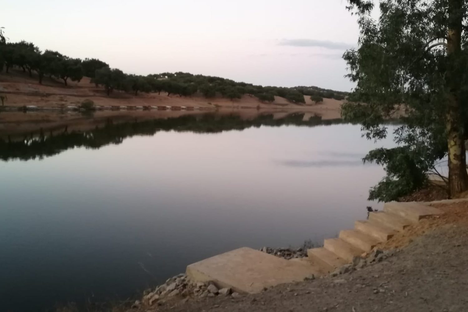 pantano oliva de la frontera