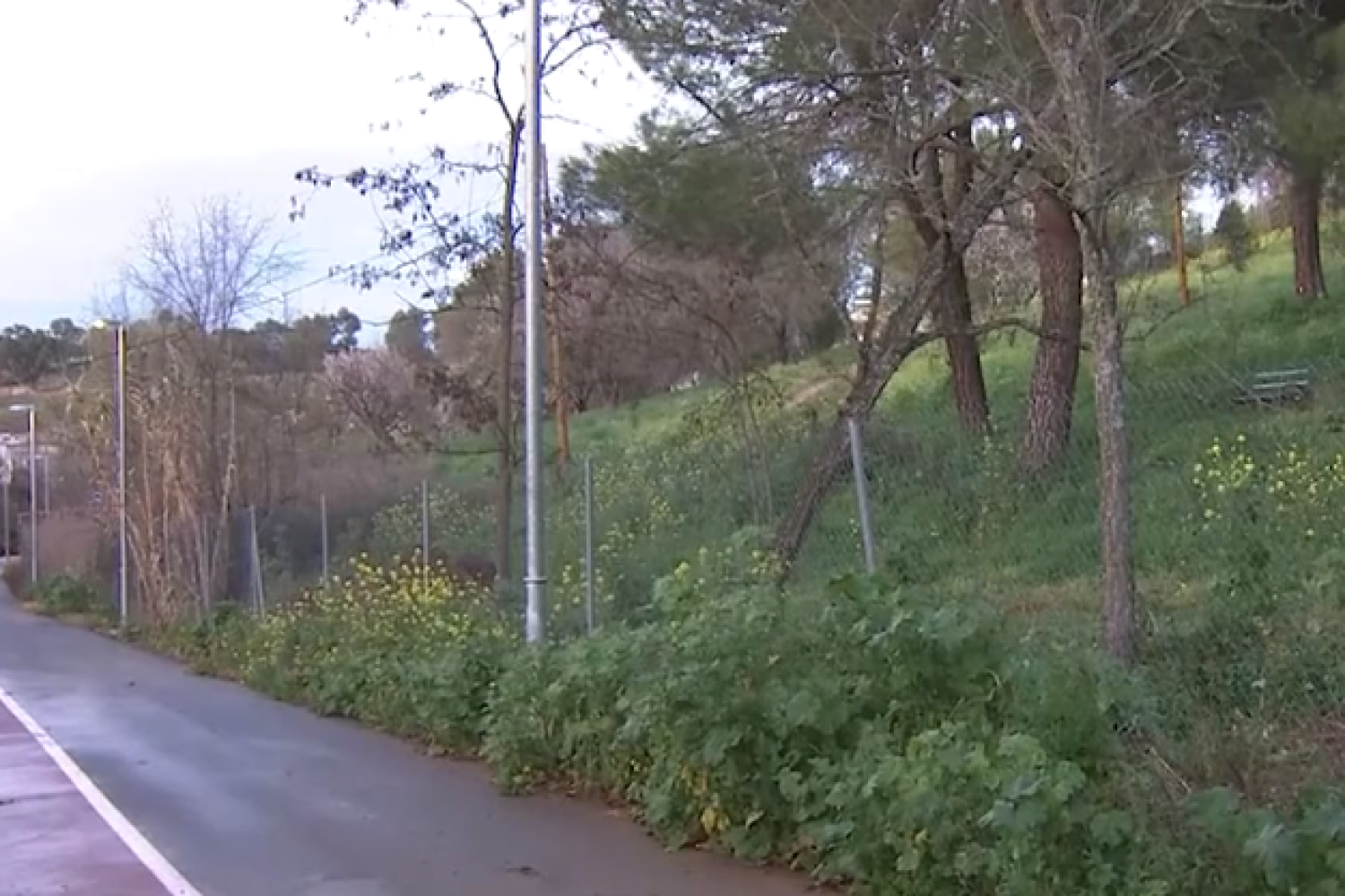 parque príncipe parking
