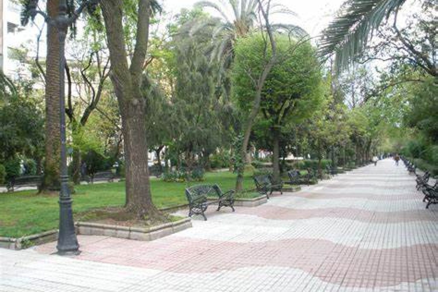 paseo canovas