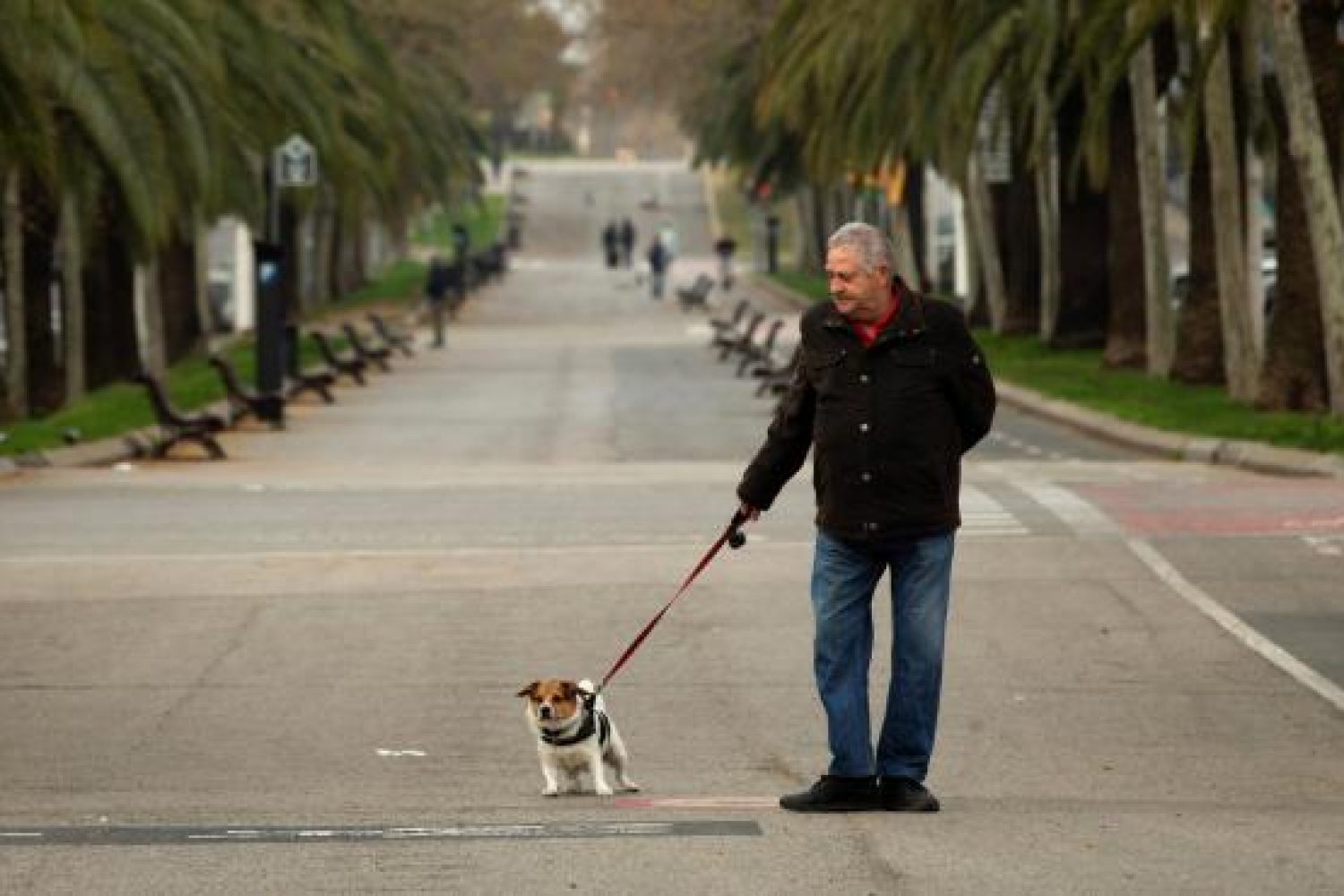 paseo perro
