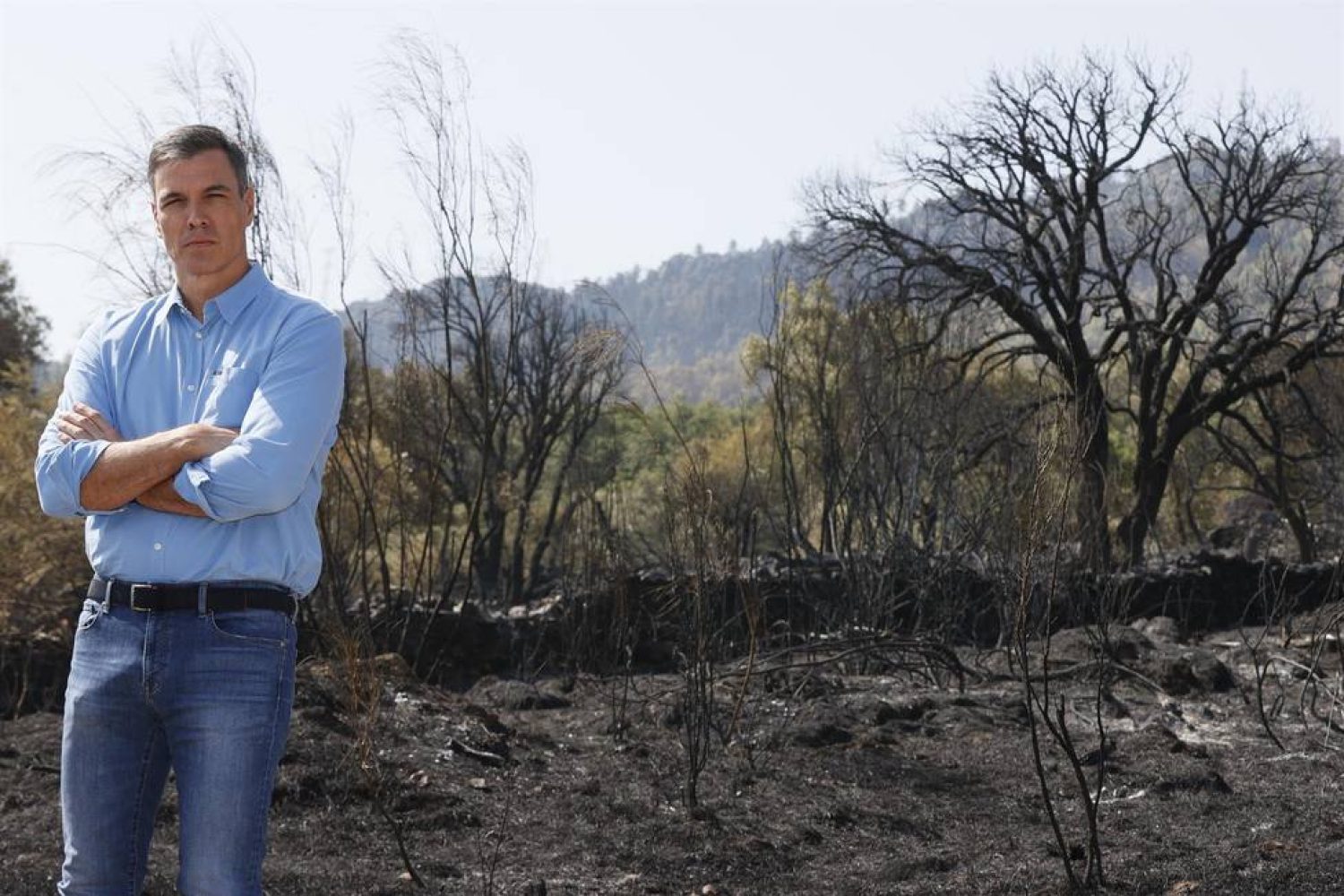 pedro incendio