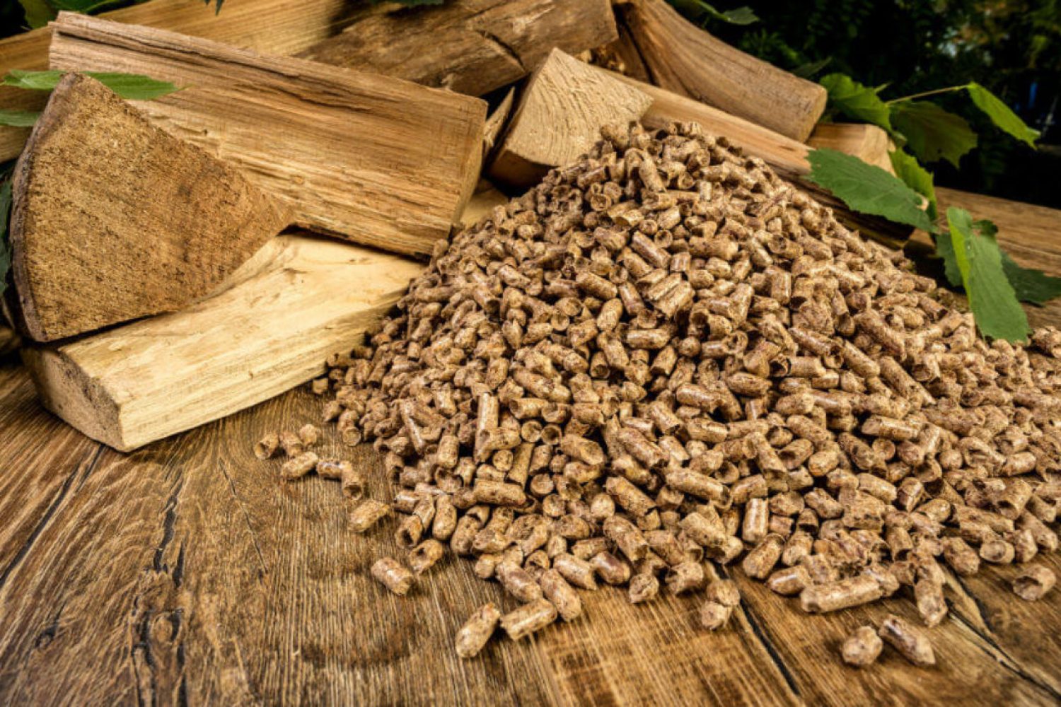 pellets