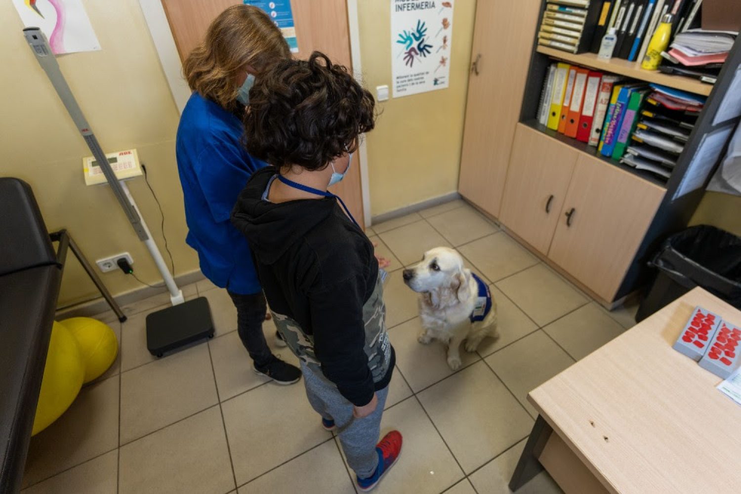 perro terapia cancer