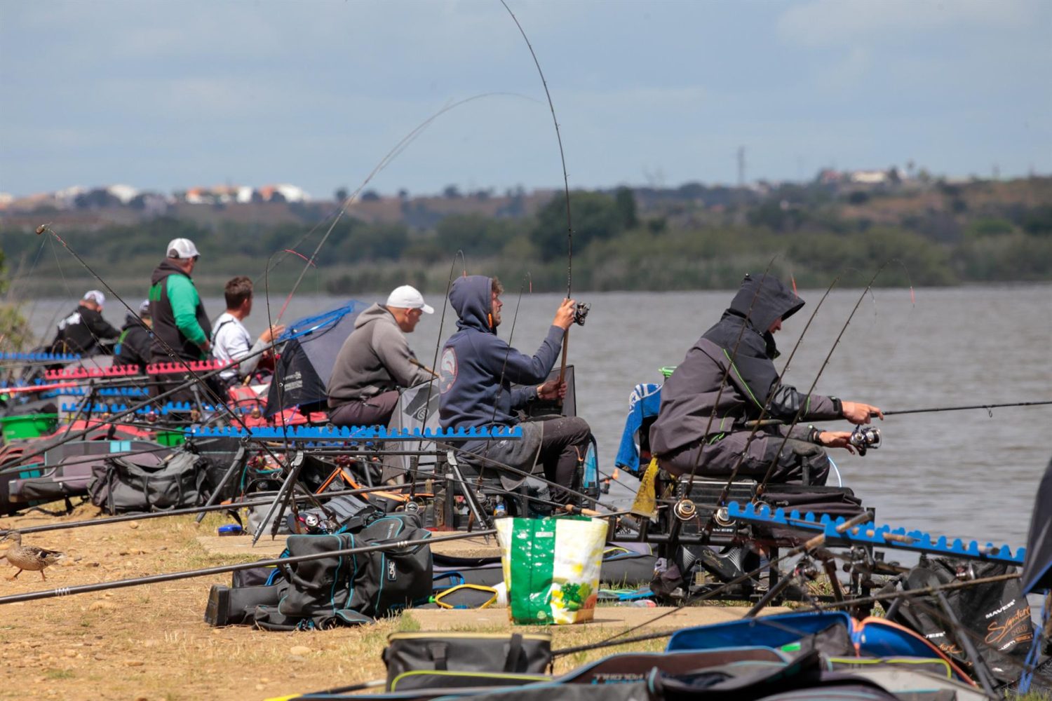pesca con cebador