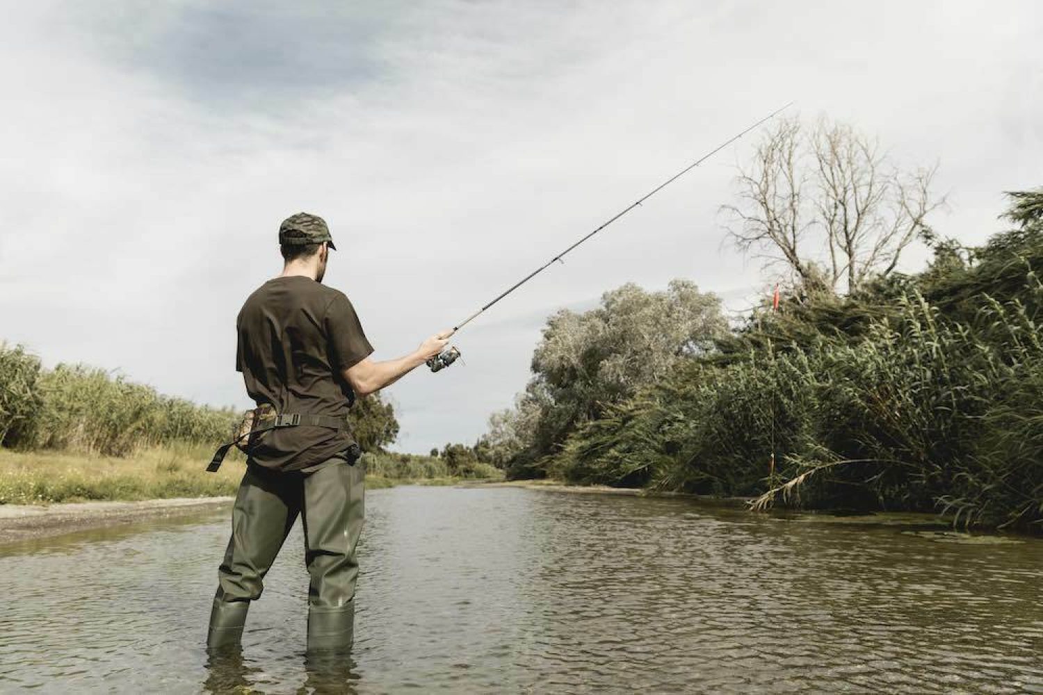 pesca