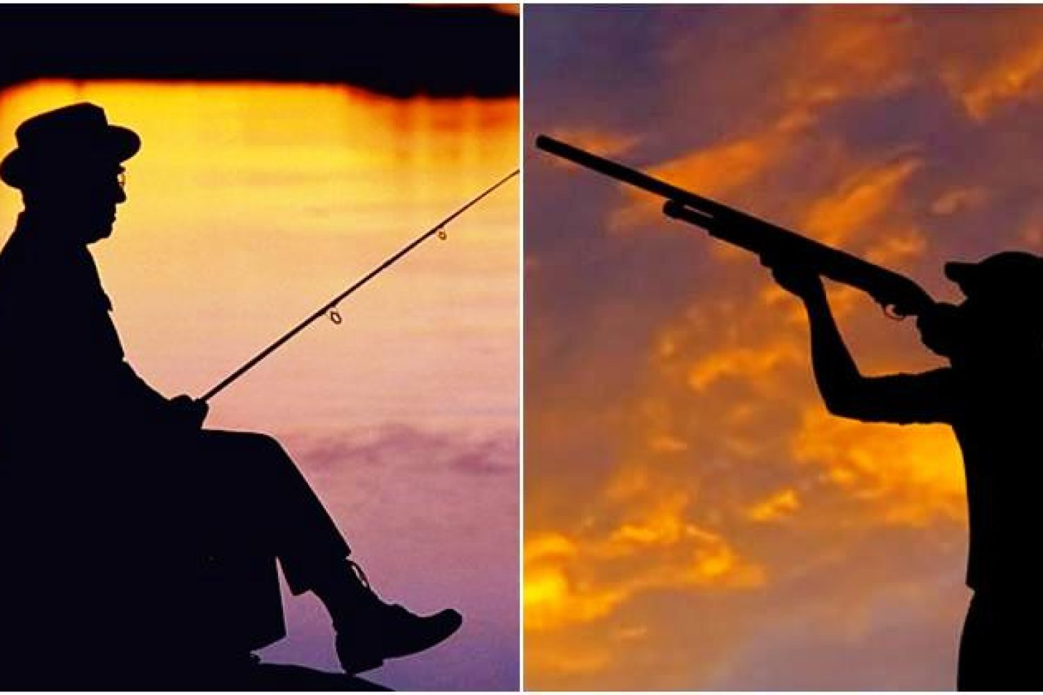 pesca_y_caza_001