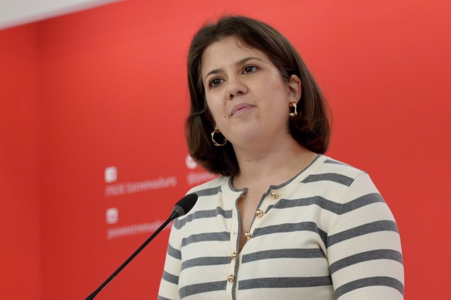 Gallardo sitúa a Vergeles como presidente del Grupo Socialista en la Asamblea y a Piedad Álvarez como portavoz