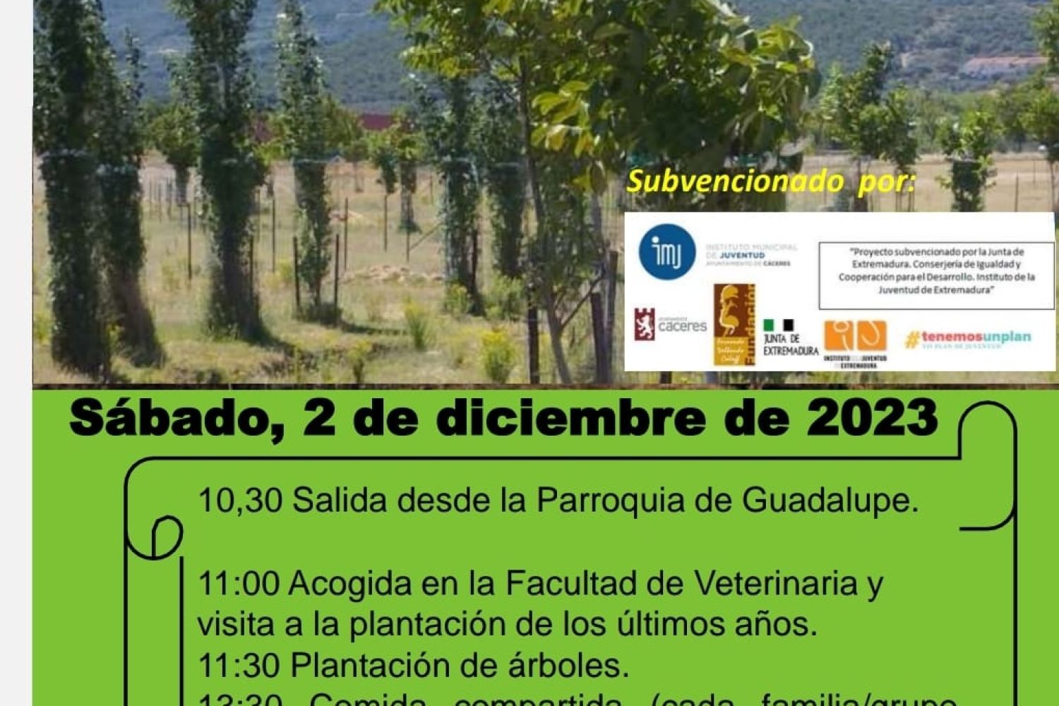 plantación árboles