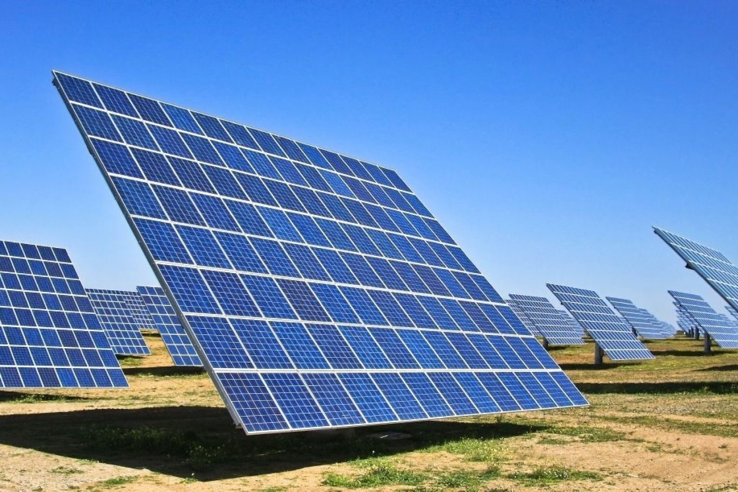 plantas solares