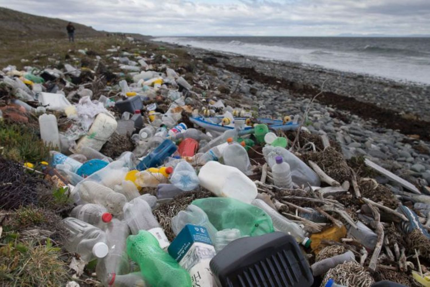 plastico