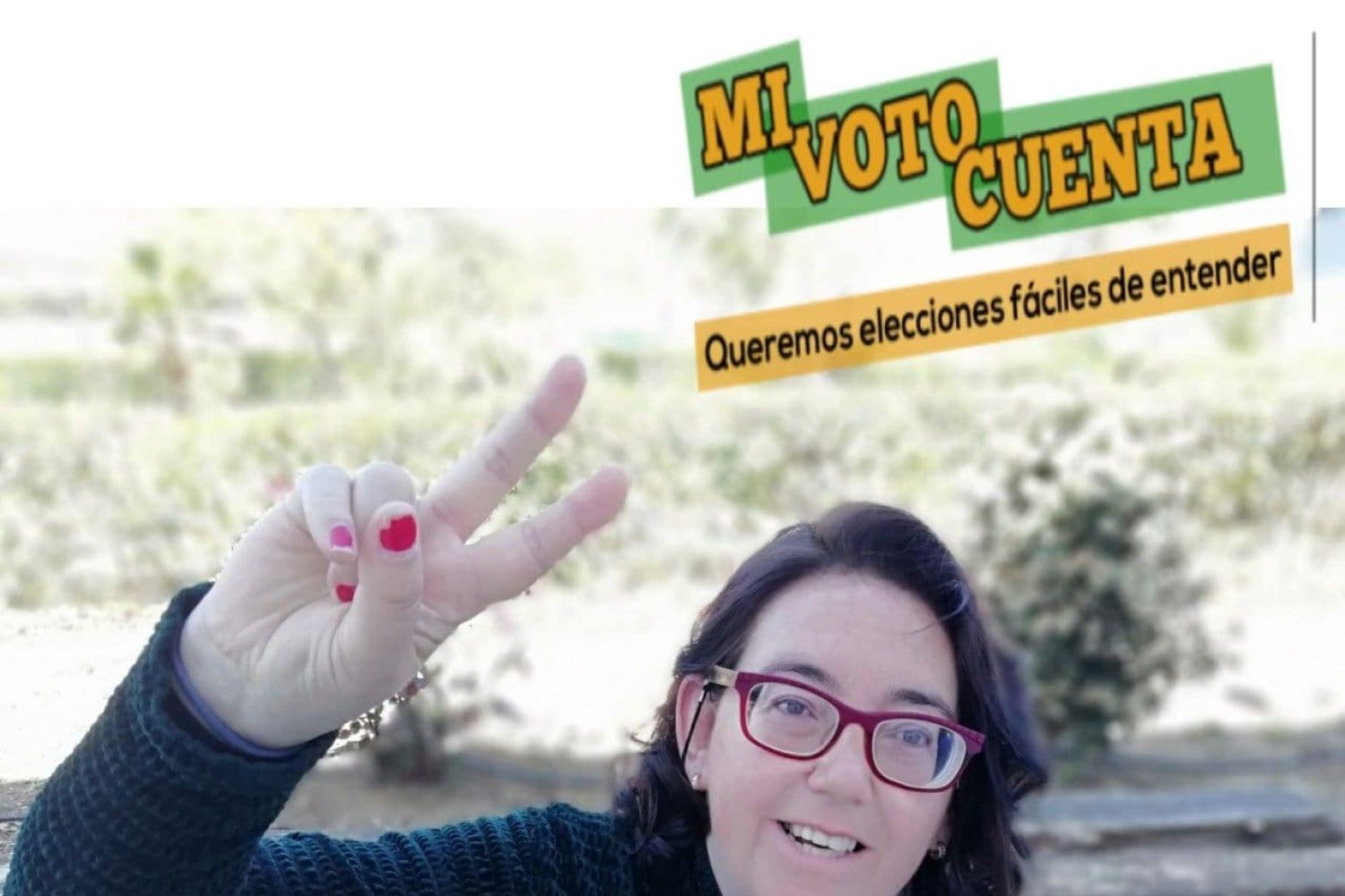 plena inclusion 1