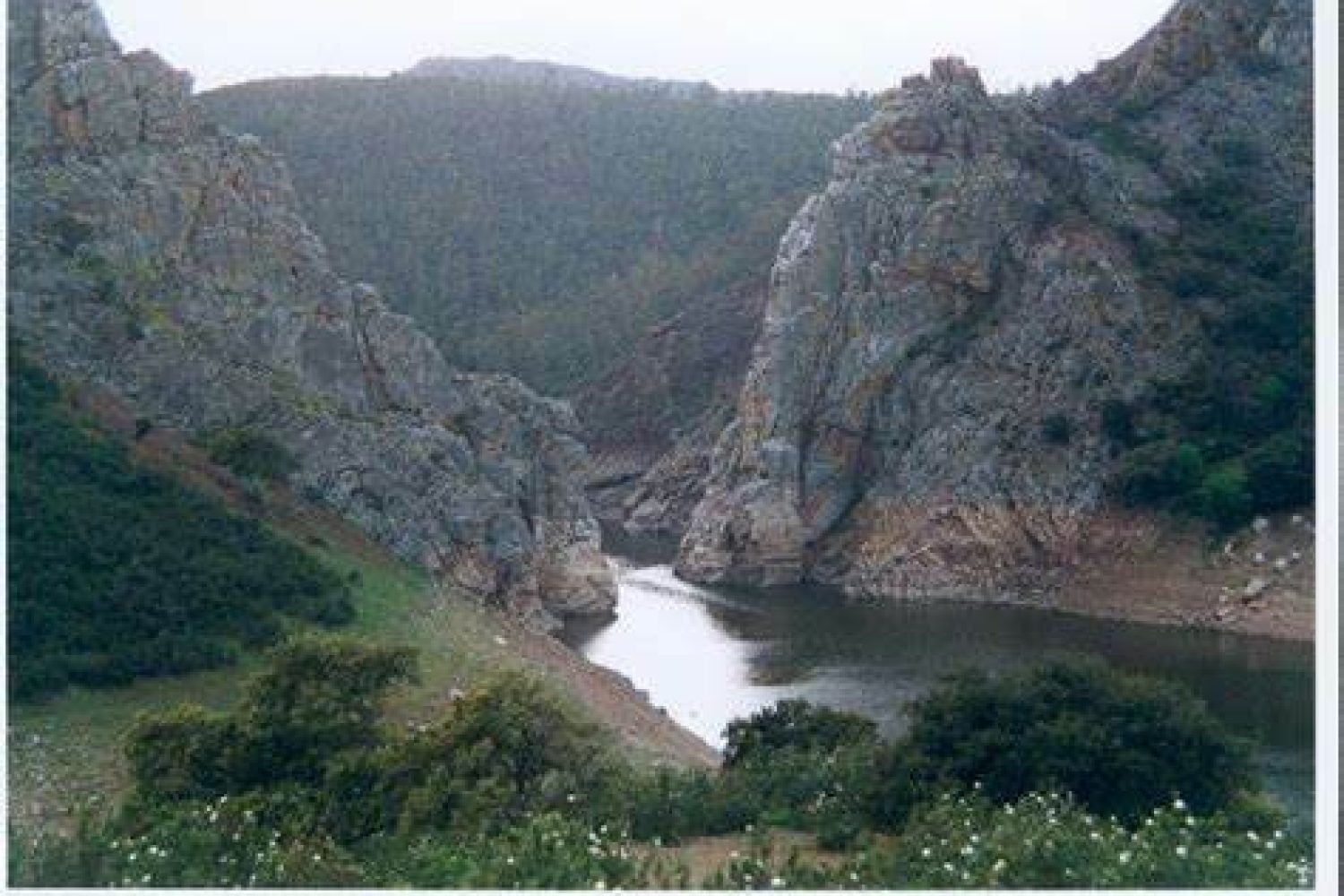 portaje