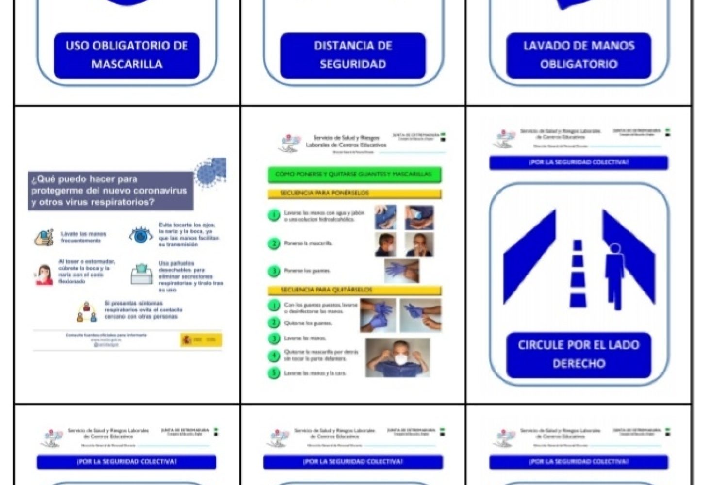 protocolo_imagen1