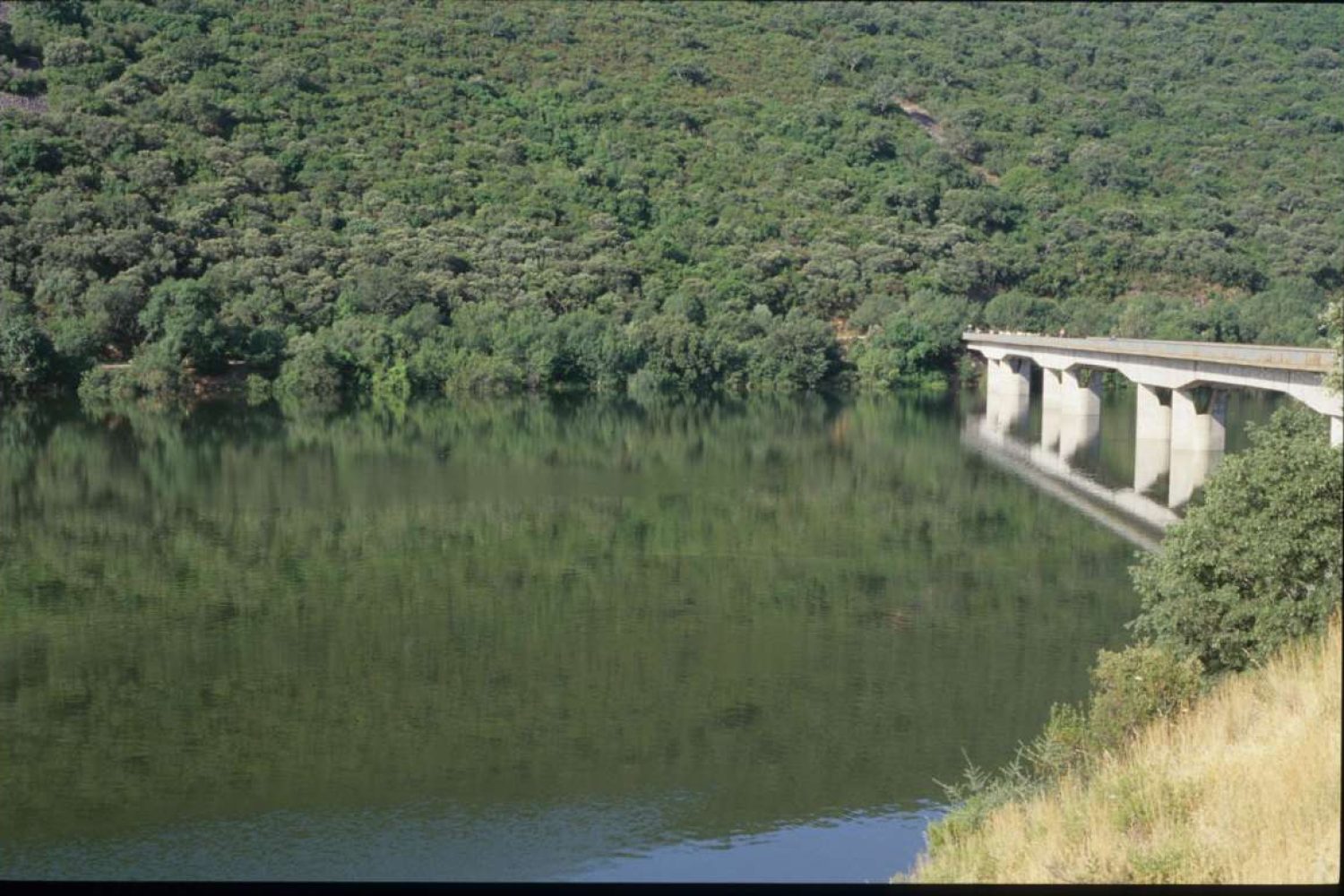 puente_nuevo_tajo