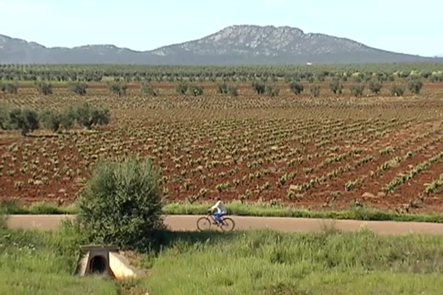 regadio tierra de barros