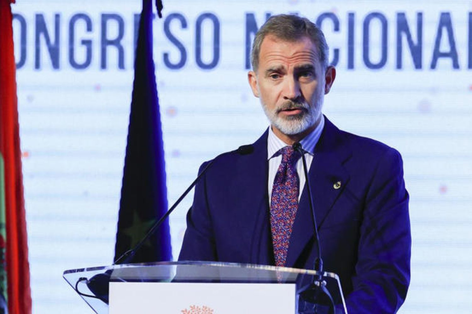rey felipe VI