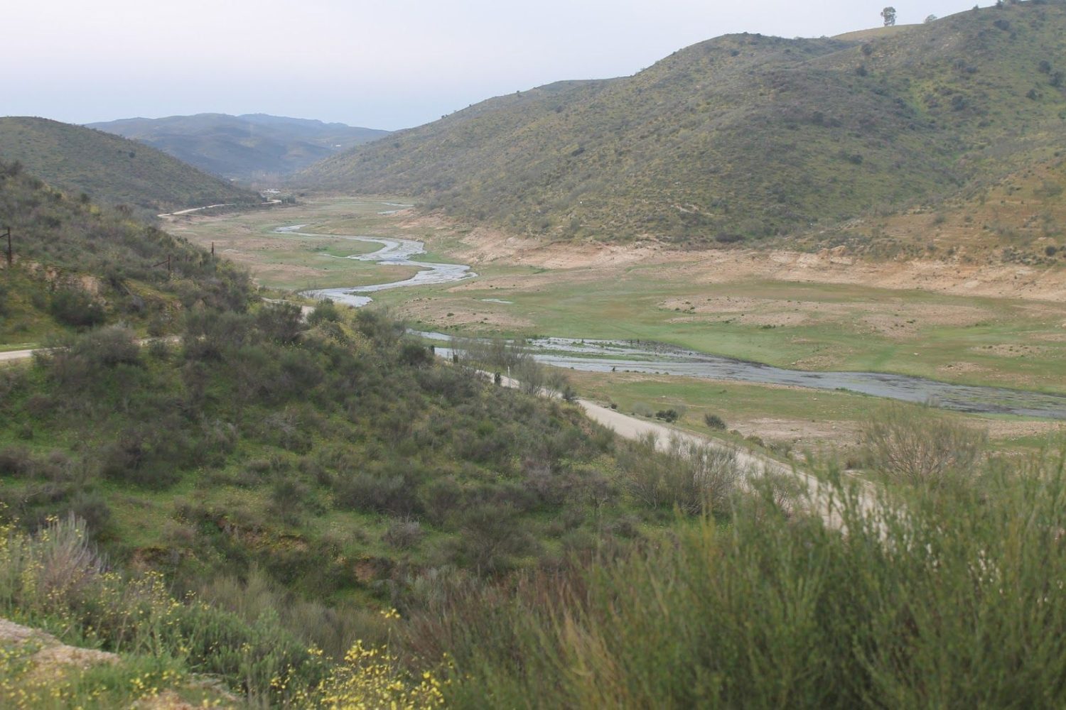 Rivewra de Araya