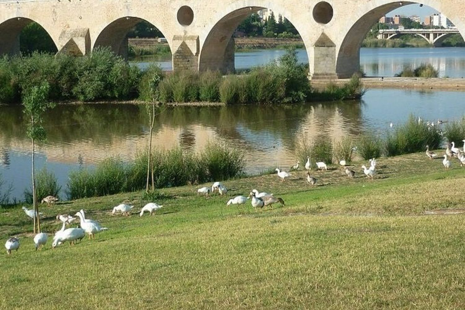 Río Guadiana en Badajoz