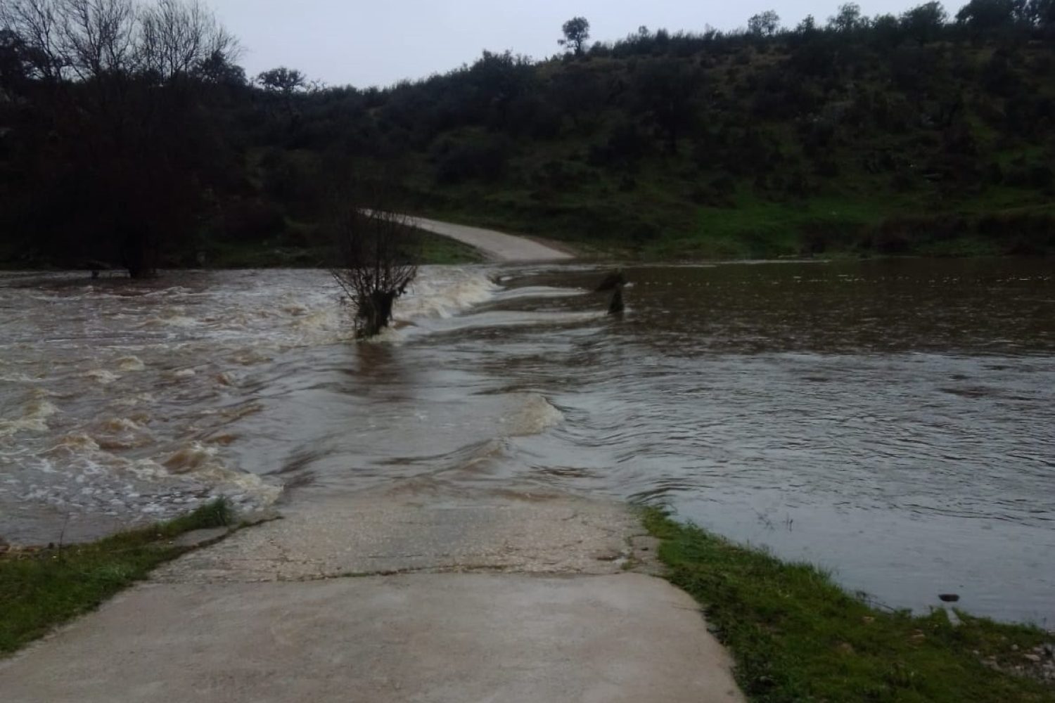 rio salor