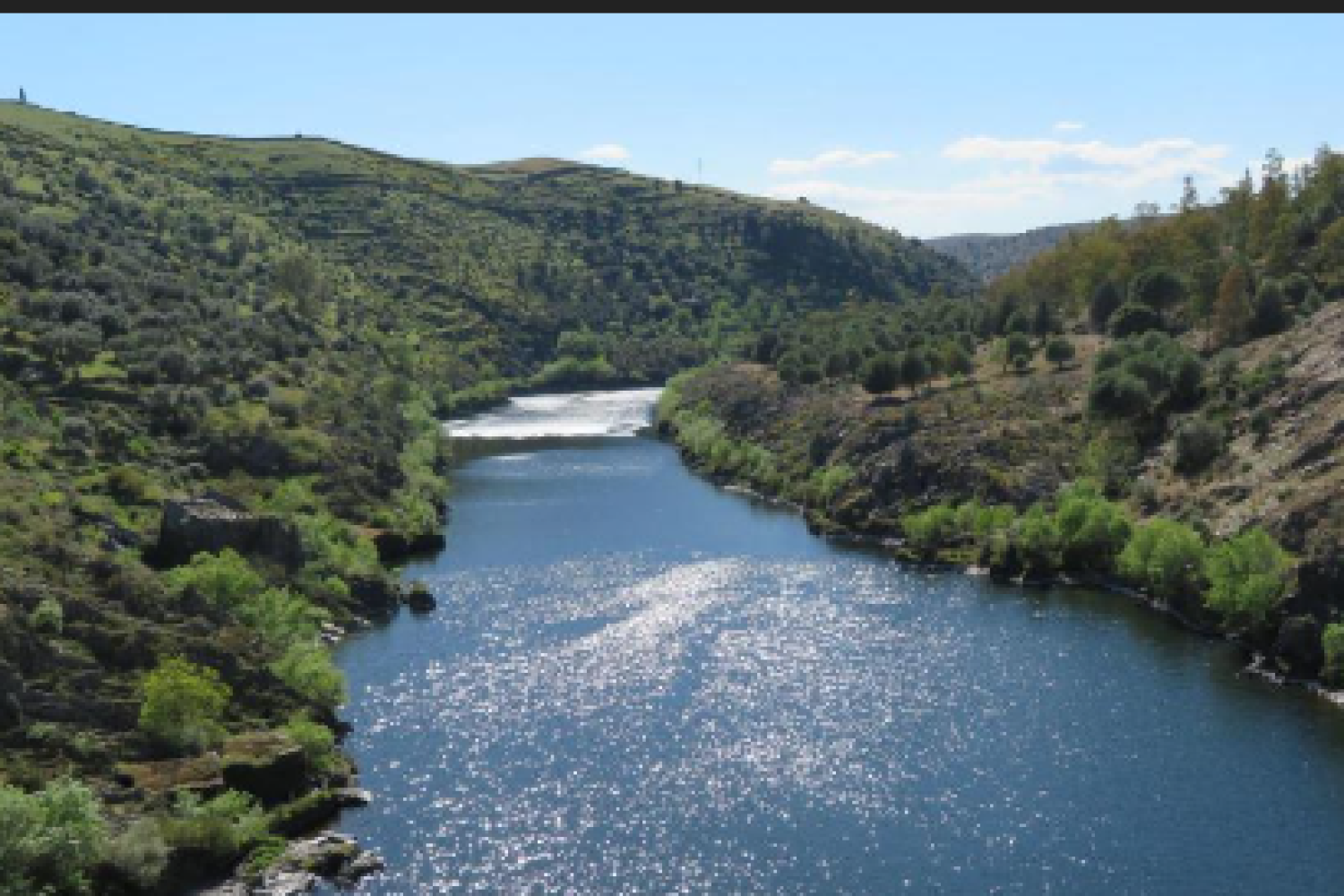 rio tajo buena