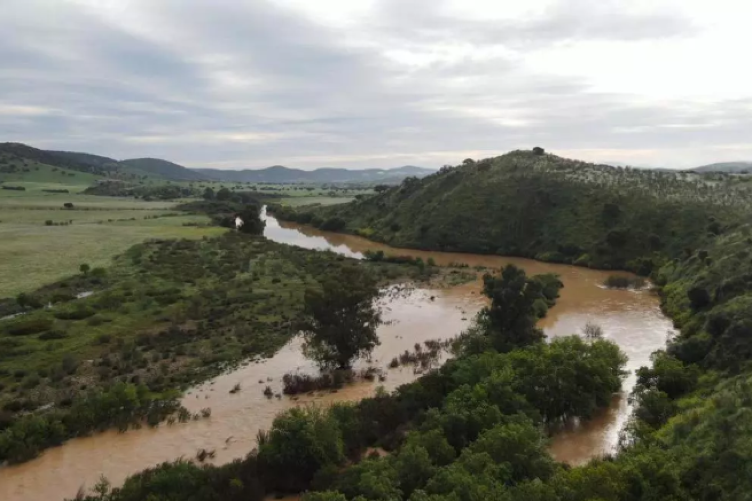 rio zujar
