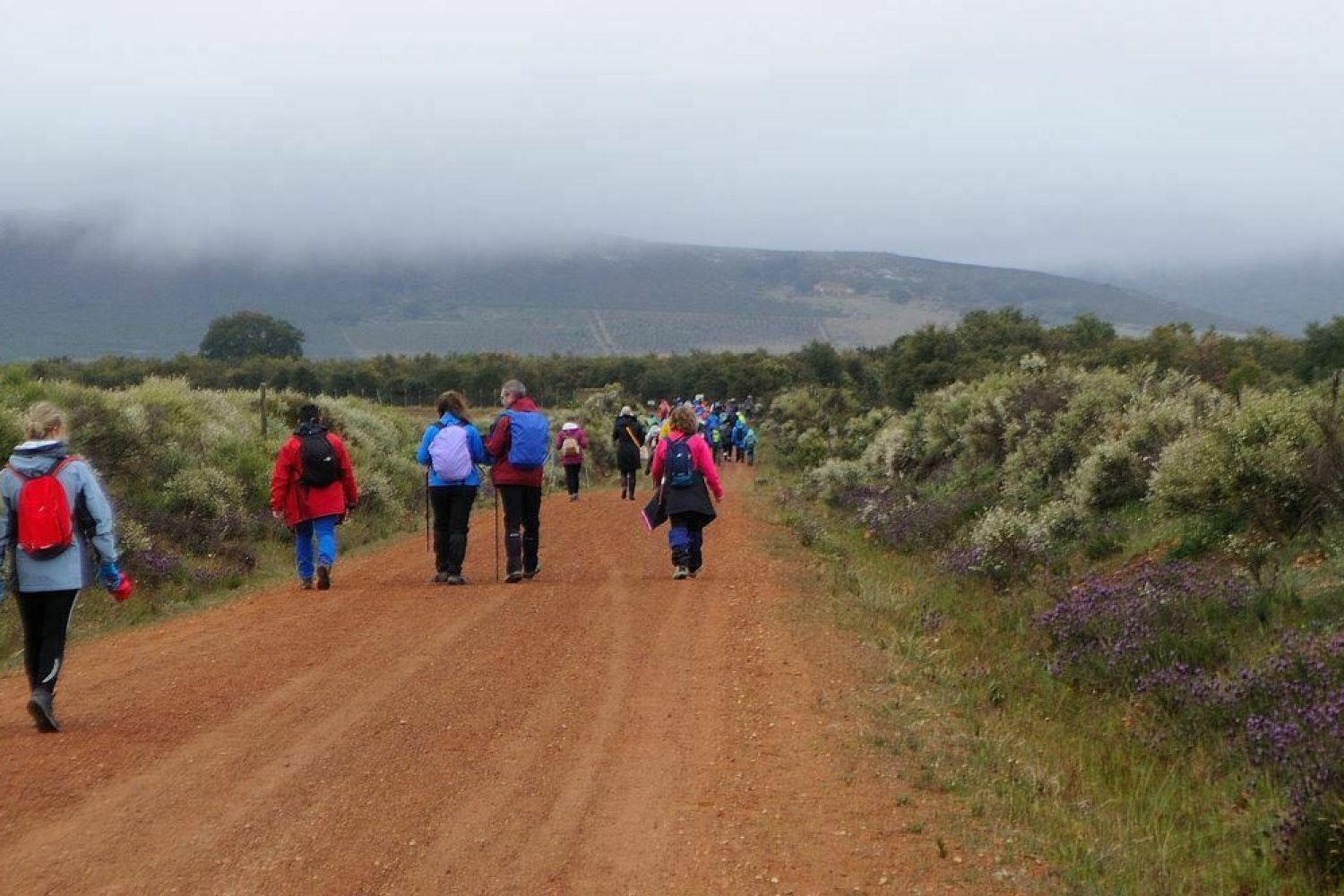 ruta monfrague