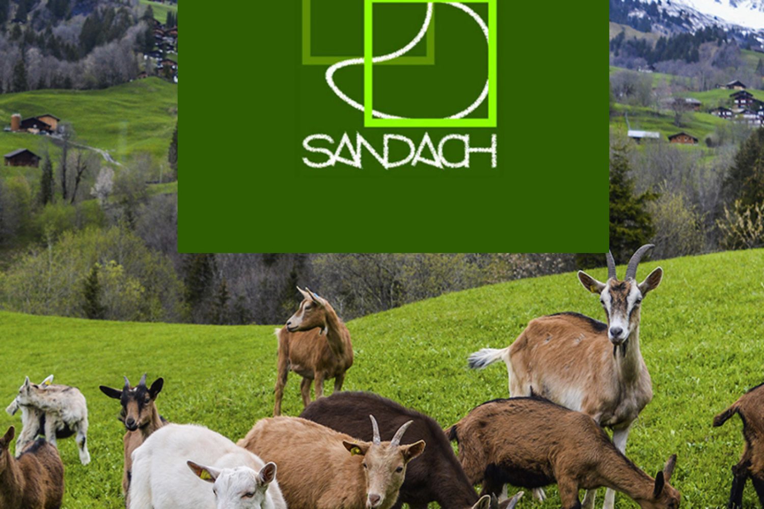 sandach