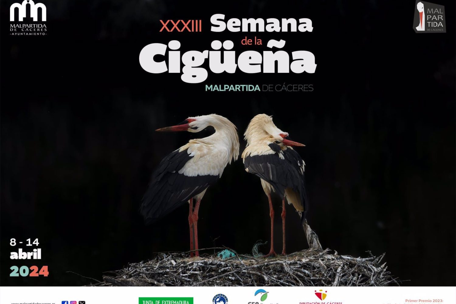La XXXIII Semana de la Cigüeña de Malpartida de Cáceres arranca este lunes con numerosas actividades