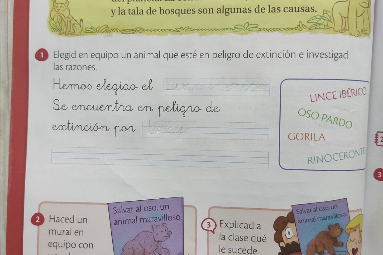 sm caza