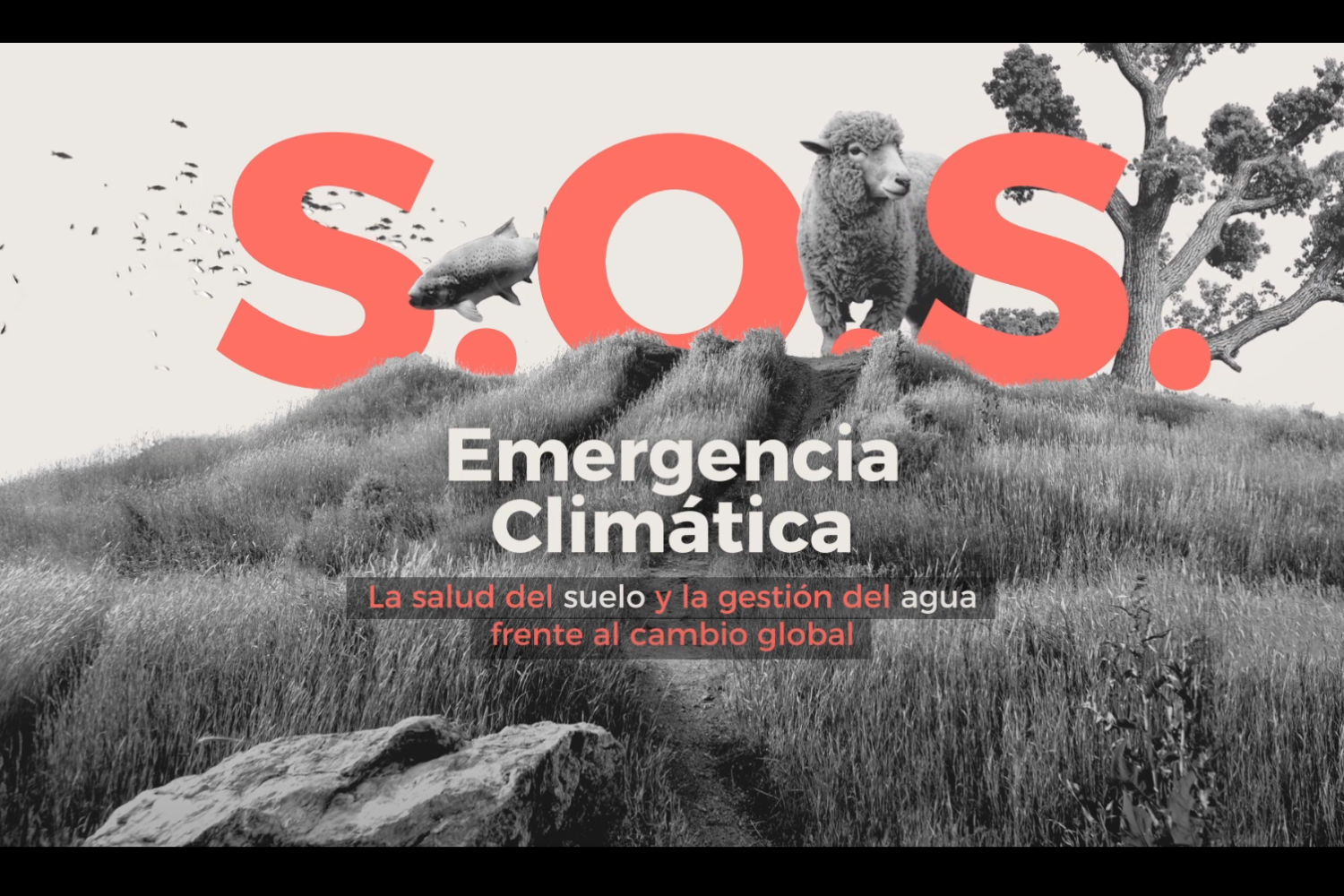 sos-emerfencia-climatica