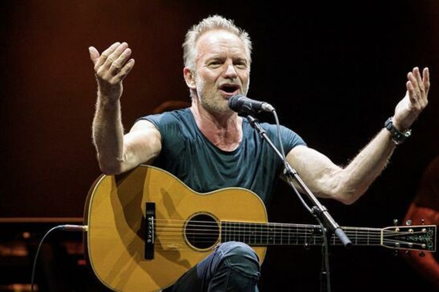 Sting estará en el Stone&Music festival de Mérida.