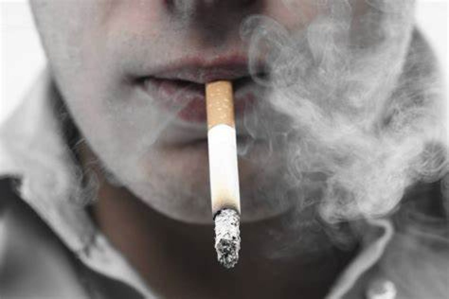 tabaco