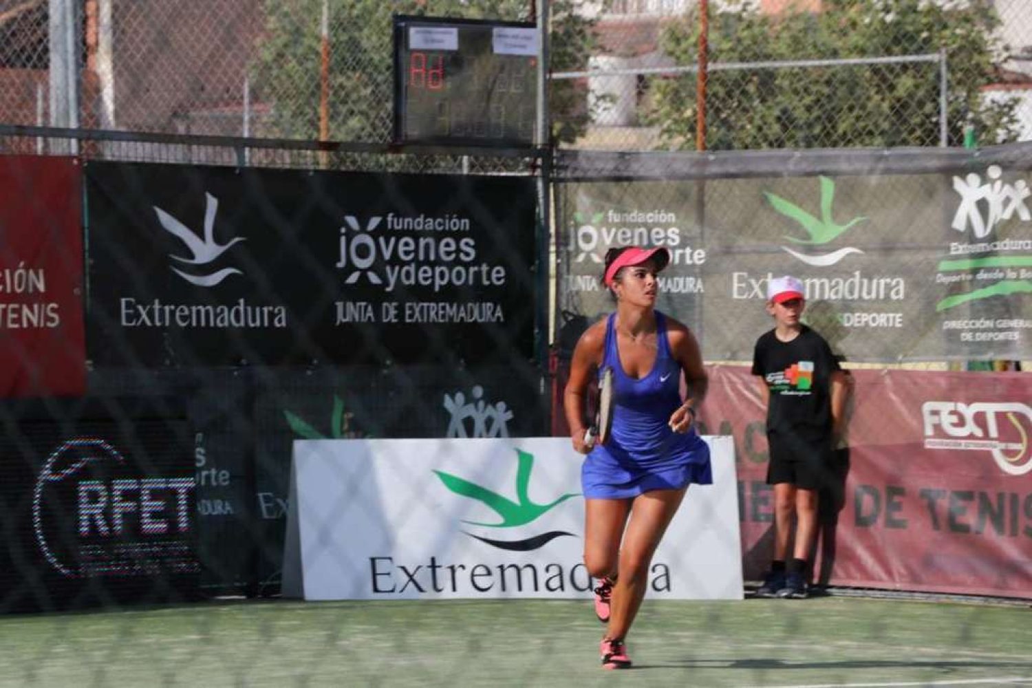 tenis