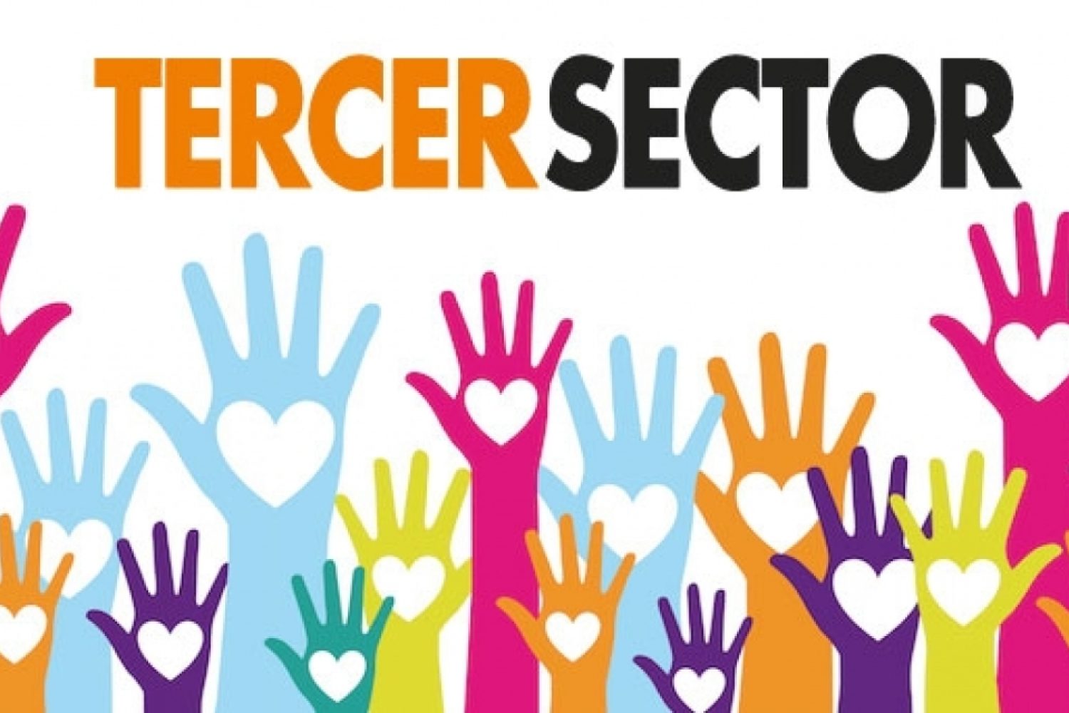 tercer sector