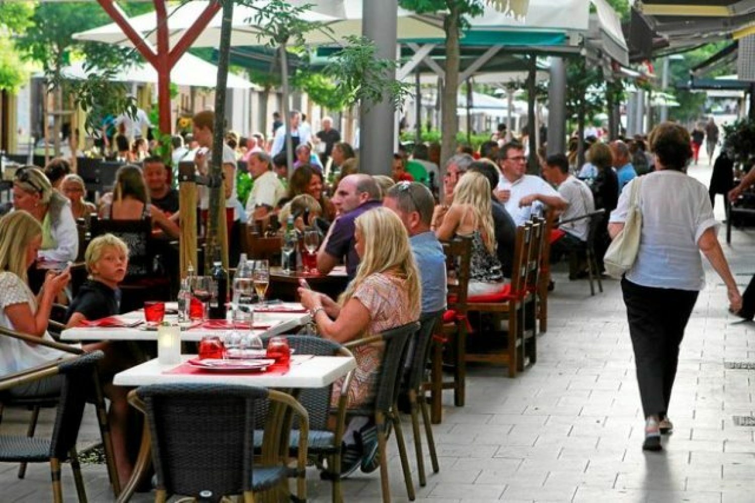 terraza bares