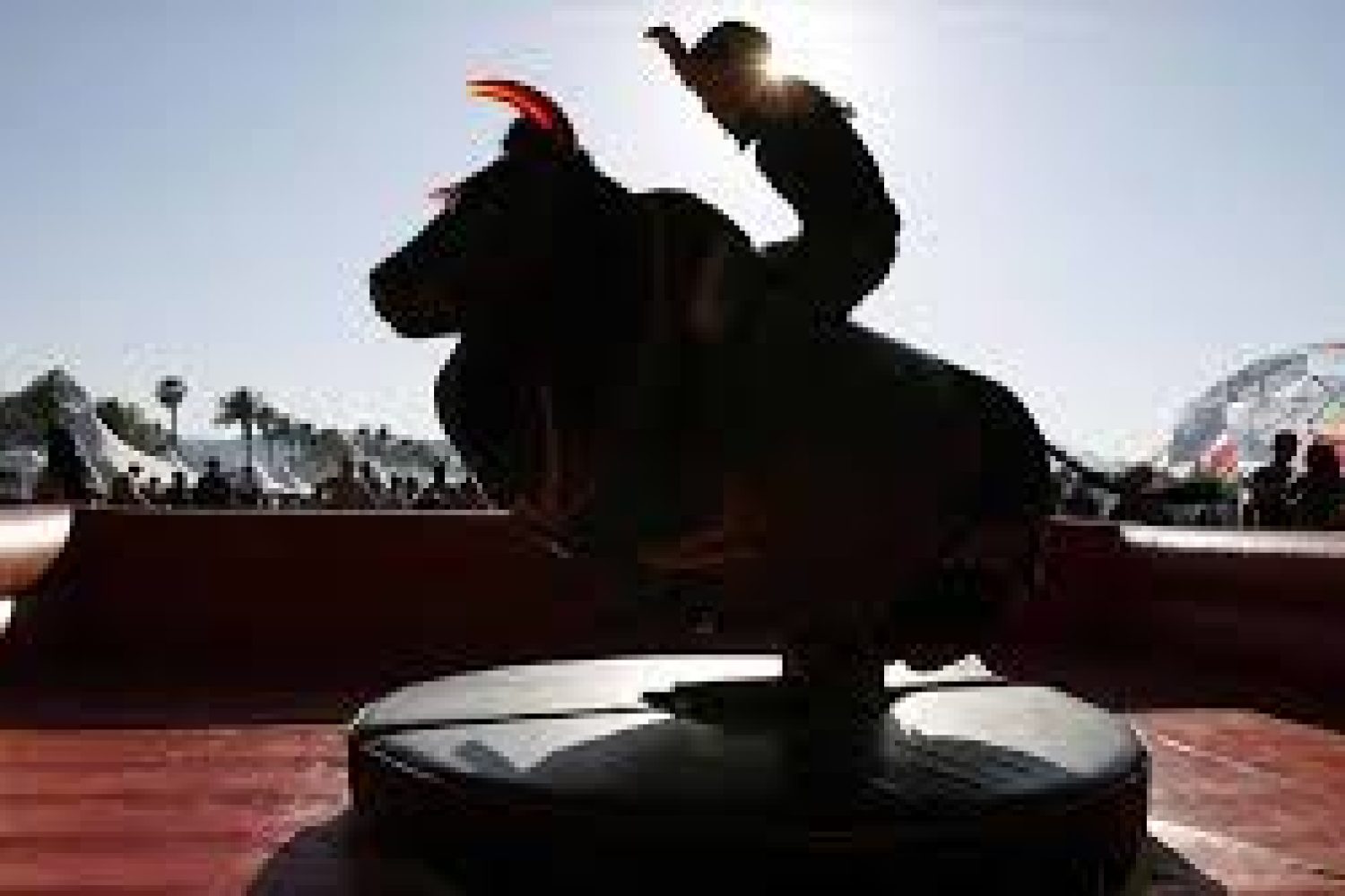 toro mecanico