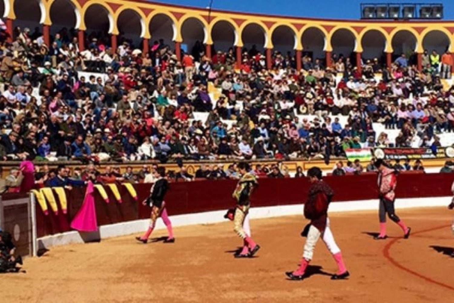 toro olivenza