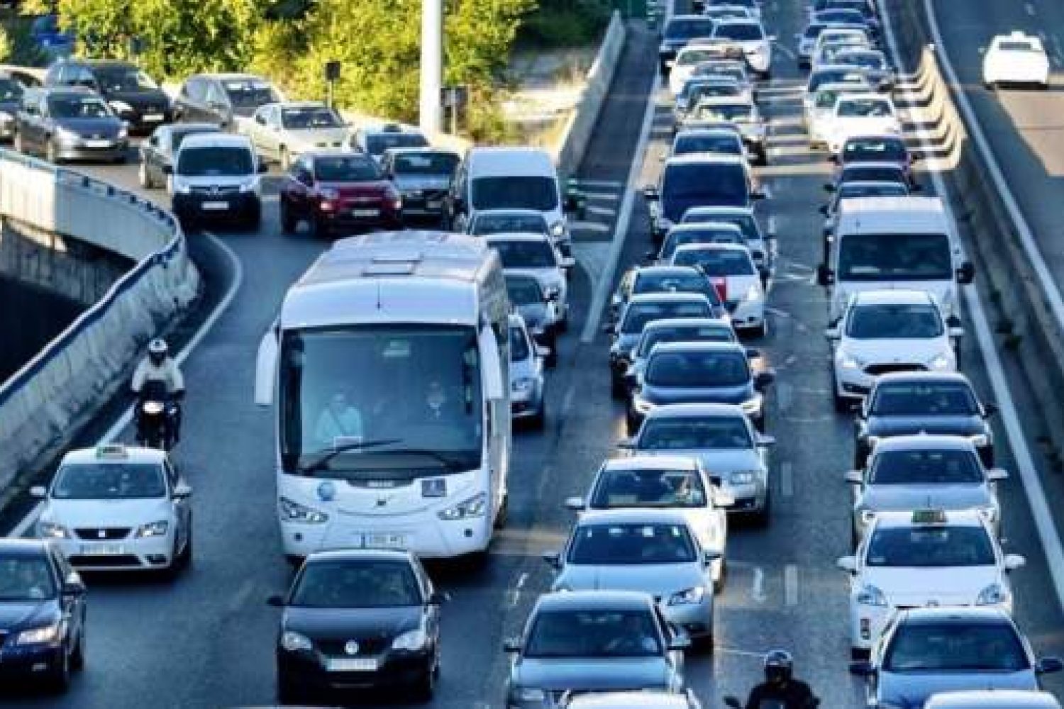 trafico