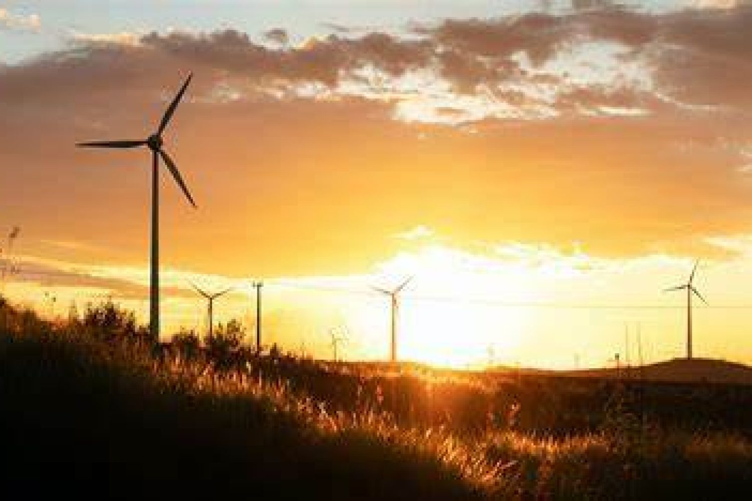 transicion ecologica