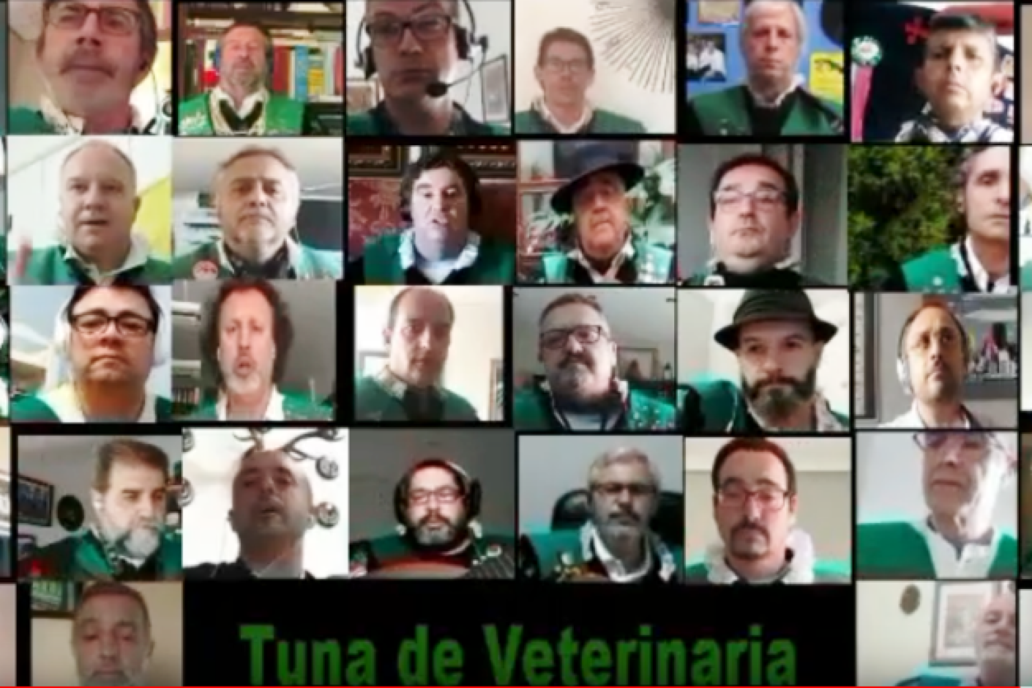 tunos veterinaria coronavirus