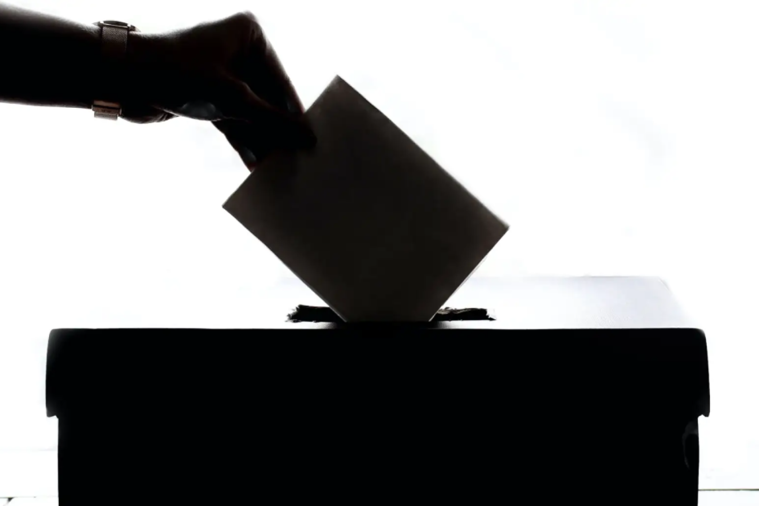 urna en blanco y negro