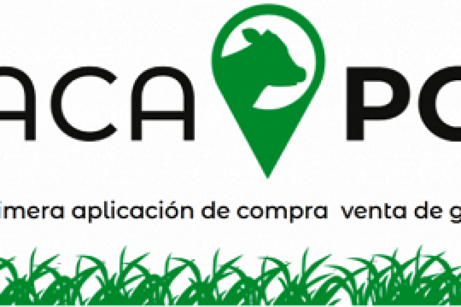 vacapop