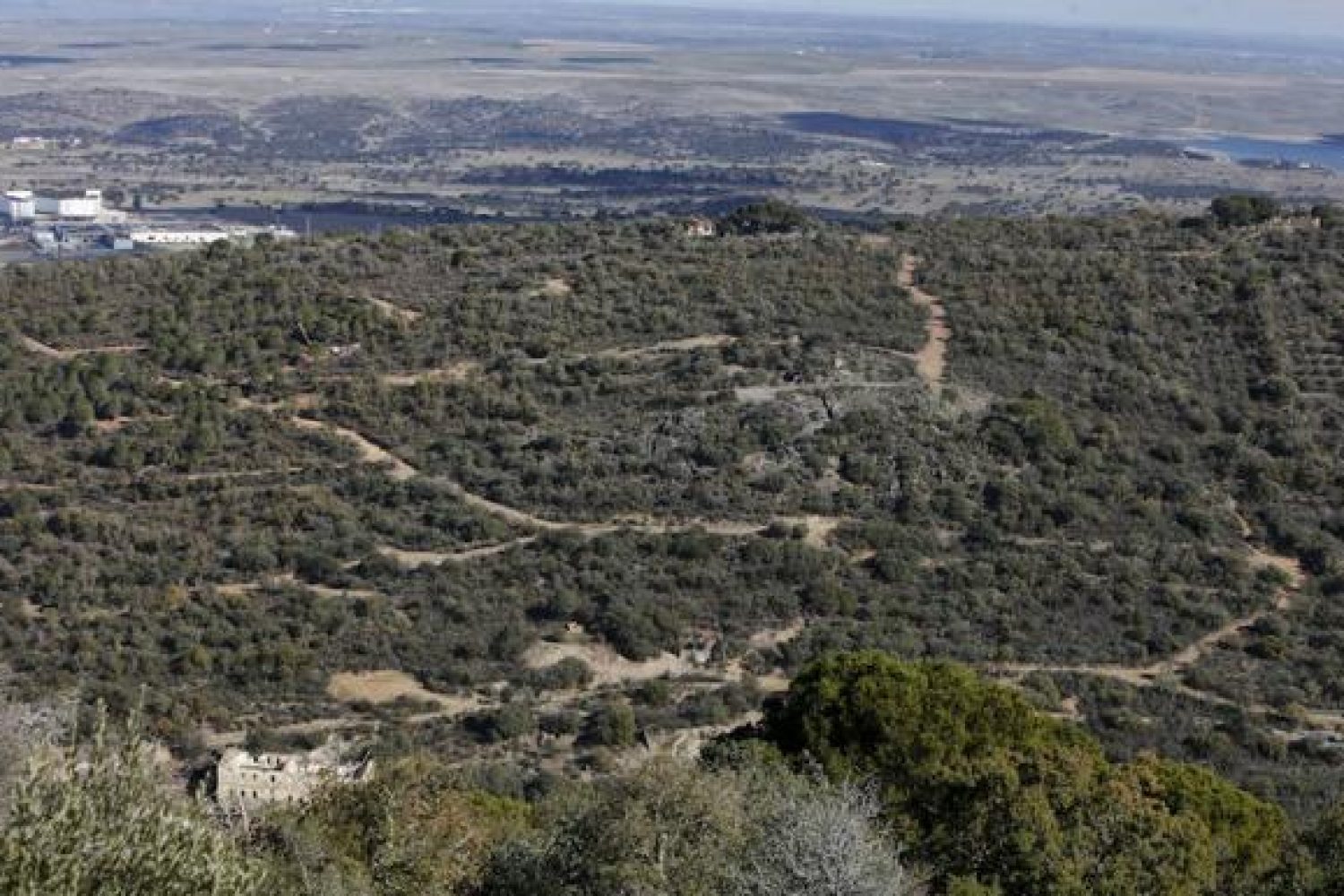 valdeflorez