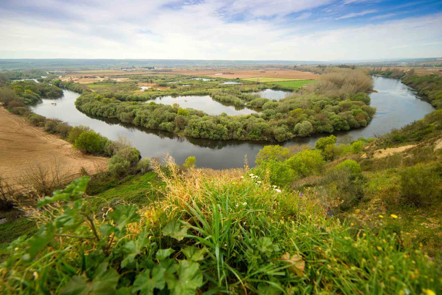 valle alagon